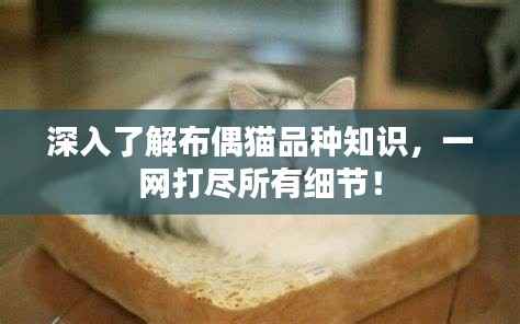 删华就素 第2页