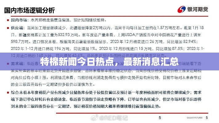 特棉新闻今日热点,最新消息汇总