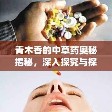 青木香的中草药奥秘揭秘,深入探究与探索之旅