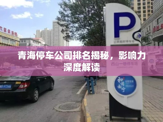 青海停车公司排名揭秘,影响力深度解读