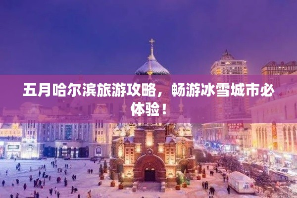 五月哈尔滨旅游攻略,畅游冰雪城市必体验!