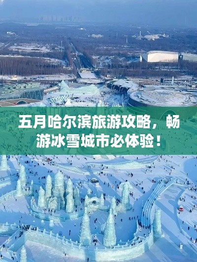 五月哈尔滨旅游攻略,畅游冰雪城市必体验!