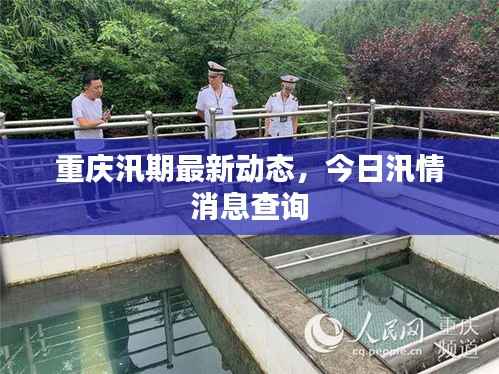 重庆汛期最新动态,今日汛情消息查询