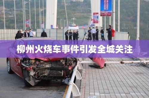 柳州火烧车事件引发全城关注