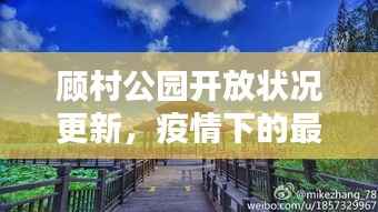 顾村公园开放状况更新,疫情下的最新消息与动态