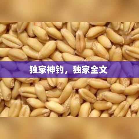 独家神钓,独家全文