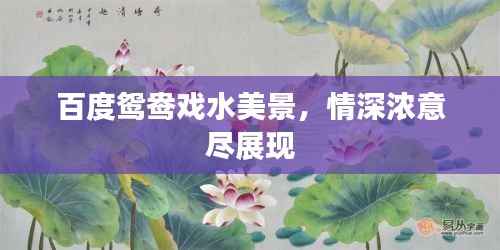 百度鸳鸯戏水美景,情深浓意尽展现