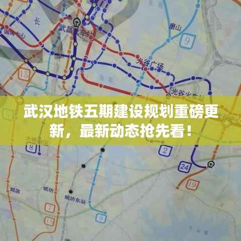 洵属可贵 第2页