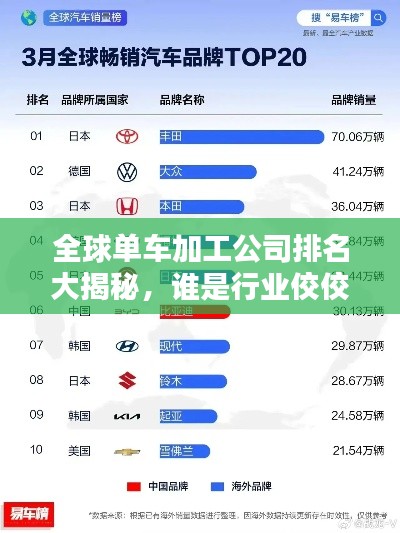 全球单车加工公司排名大揭秘，谁是行业佼佼者？